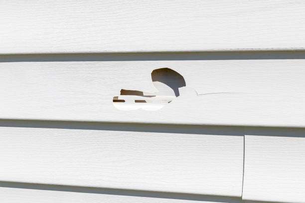 Affordable siding repair and maintenance services in Dayton, IN